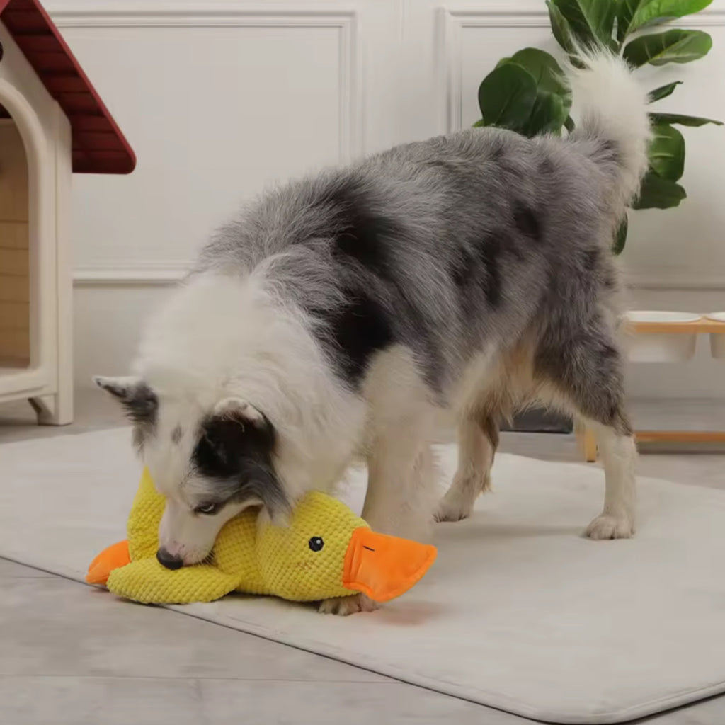 Plush Companion Sleeping Duck Dog Toy – Soft, Durable & Comforting
