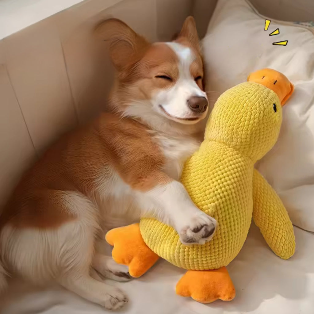 Plush Companion Sleeping Duck Dog Toy – Soft, Durable & Comforting